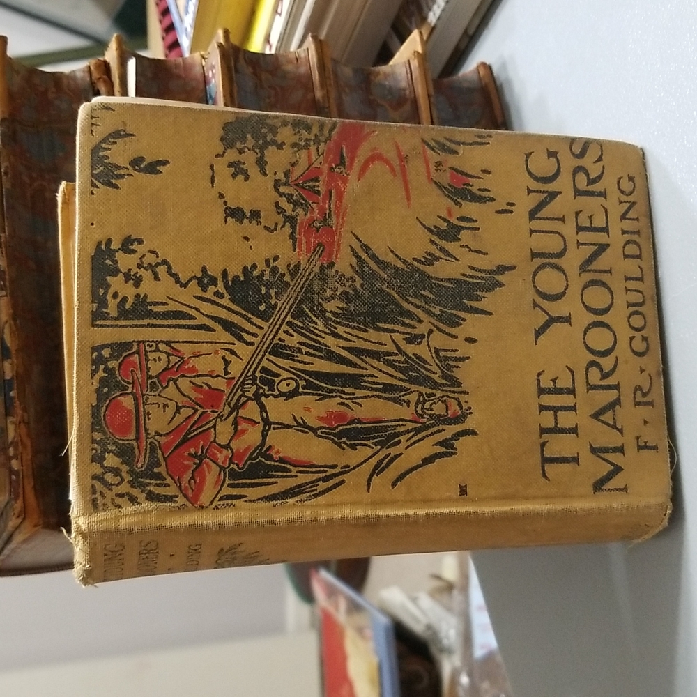 The Young Marooners on the Florida Coast by F. R. Goulding 1927 Edition